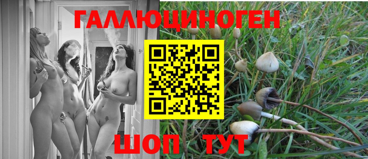 Ессентуки  Псилоцибиновые грибы Psilocybine cubensis  Псилоцибиновые грибы Psilocybe  Вход с VPN 